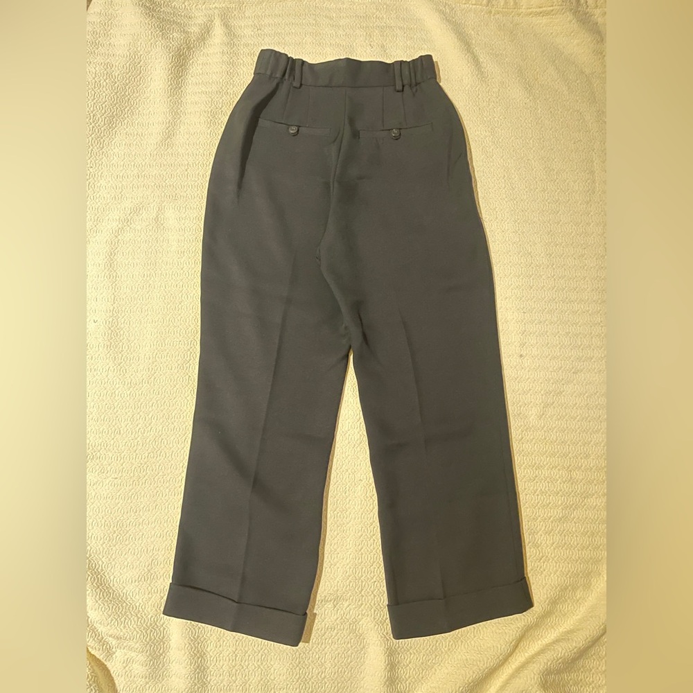 Aritzia Babaton Club Cuffed Pants with Matching Bustier - Picture 8 of 16